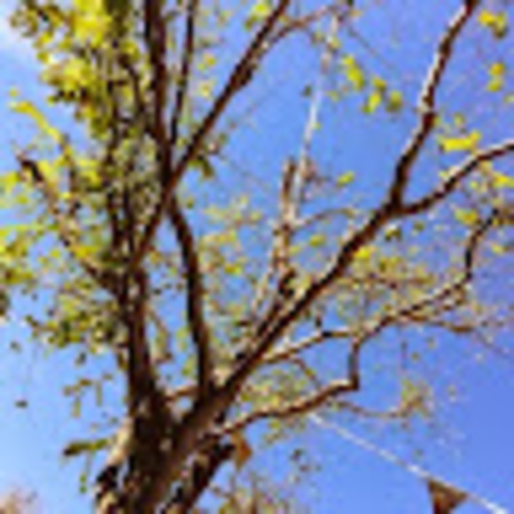 Meet your Posher, Kathryn - Picture 1 of 1